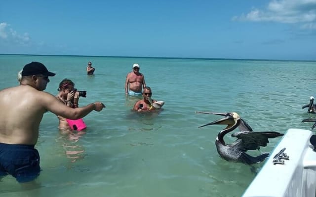 Holbox - Fishing & Snorkeling in Cabo Catoche with drinks & snack photo 8