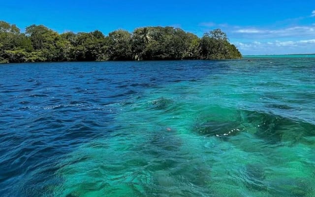 Visit Bacalar full day with boat from Merida photo 7