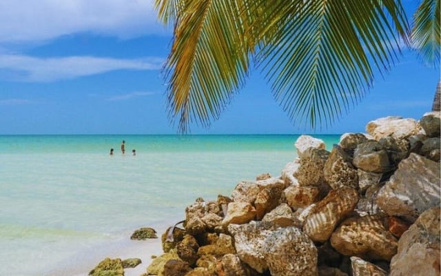 Self-Guided Tour: Explore Holbox at your own pace on Bike and SUP photo 3