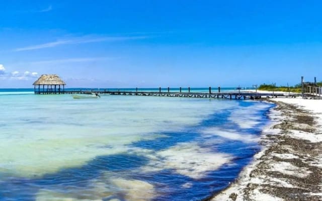 Self-Guided Tour: Explore Holbox at your own pace on Bike and SUP photo 13