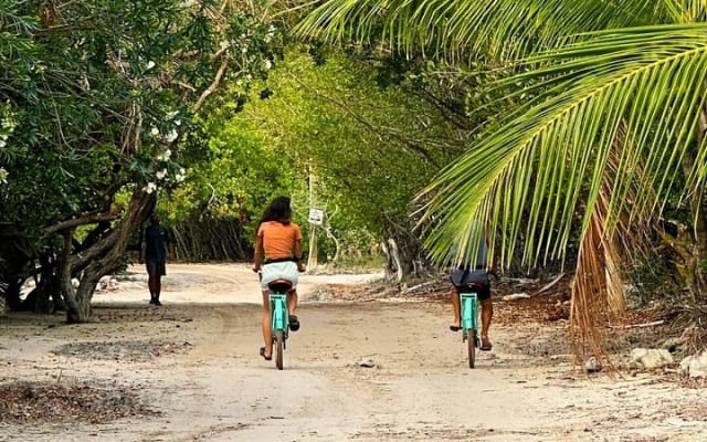 Self-Guided Tour: Explore Holbox at your own pace on Bike and SUP photo 5