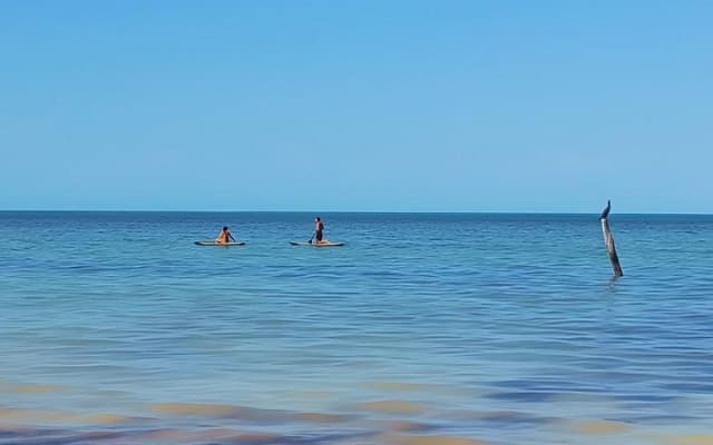 Self-Guided Tour: Explore Holbox at your own pace on Bike and SUP photo 11