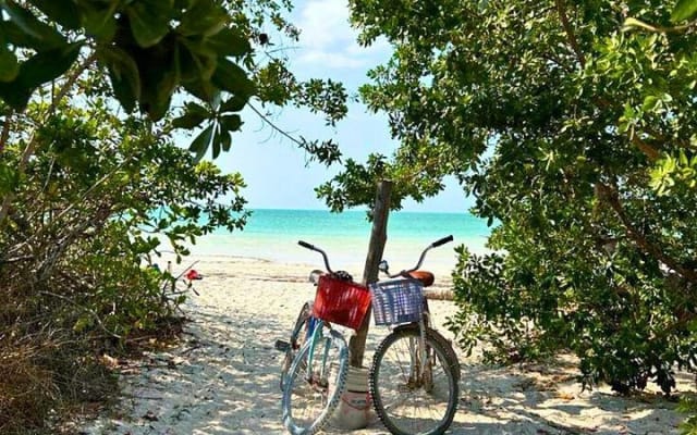 Self-Guided Tour: Explore Holbox at your own pace on Bike and SUP photo 12