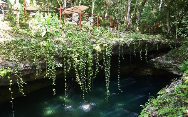 Cancun: Discover the Hidden Treasures: Exploring 3 Jungle Cenotes photo 13