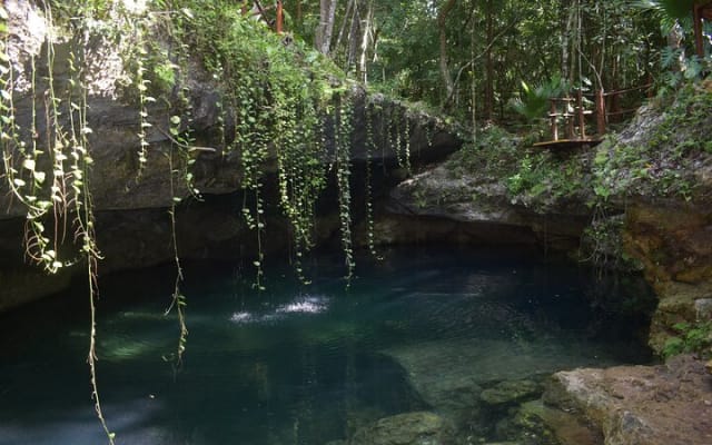 Cancun: Discover the Hidden Treasures: Exploring 3 Jungle Cenotes photo 15
