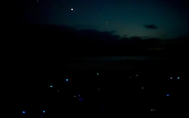 Holbox Kayak Bioluminescence Experience photo 7