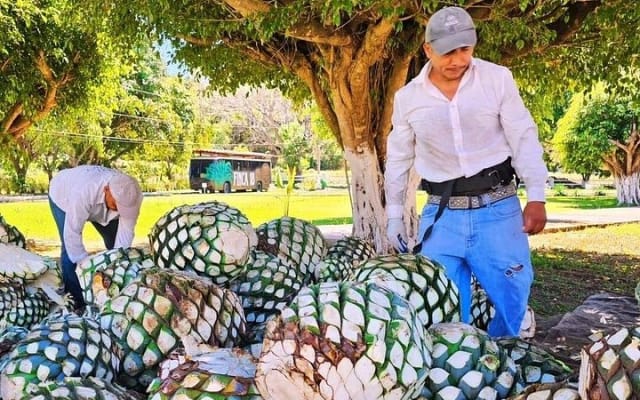 Visite de tequila à Finca 18 Puerto Vallarta + accord avec le chocolat photo 9