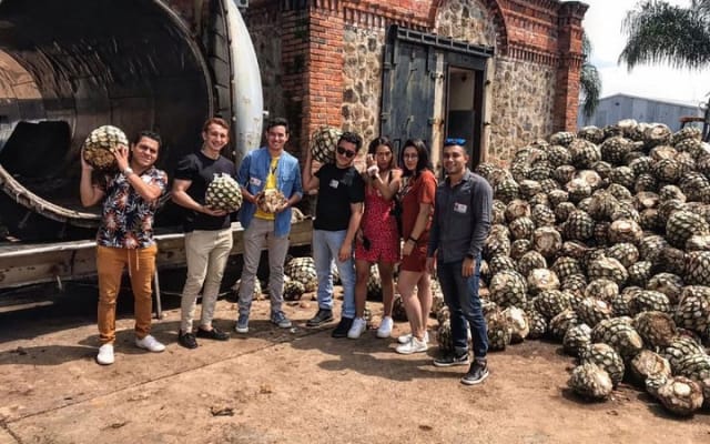 Aventura de un día al Pueblo Mágico de Tequila desde Puerto Vallarta photo 5