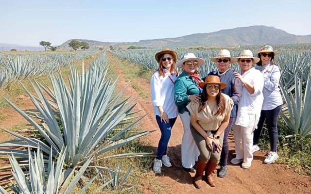 Aventura de un día al Pueblo Mágico de Tequila desde Puerto Vallarta photo 6