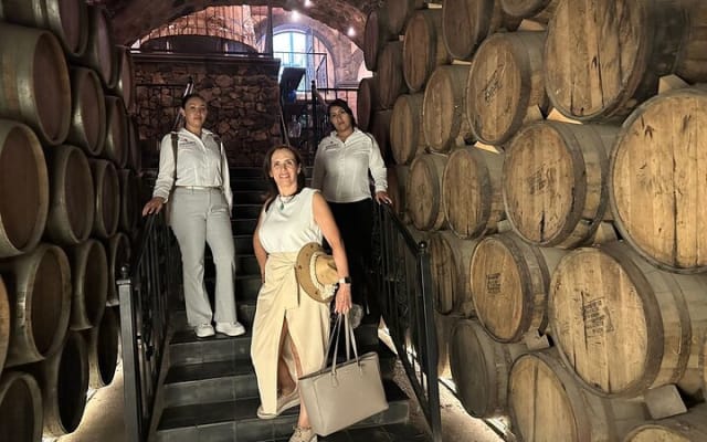 Tequila distillery experience, Jose Cuervo & Tequila Magic Town