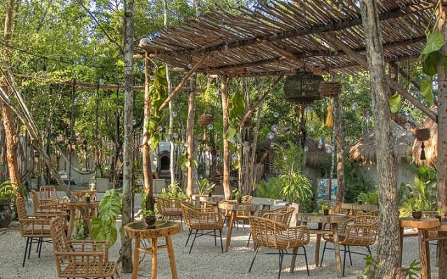 Floating Breakfast+Cavern Tour includes entrance to the cenote-Temazcal photo 15