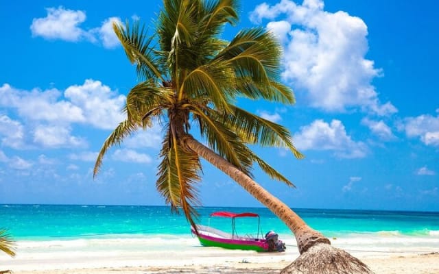Snorkel Tulum: 2 reef point, 1 hour 20 minutes tour photo 3