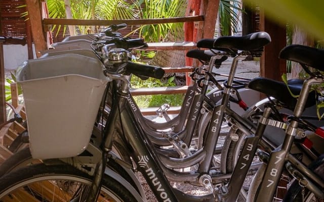 Bike Rental in Tulum downtown photo 2