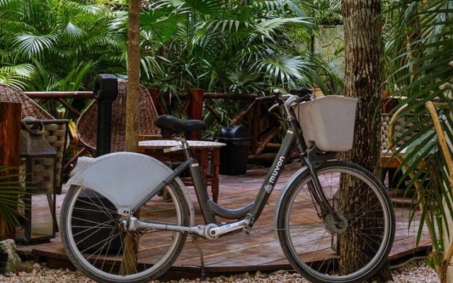 Bike Rental in Tulum downtown photo 3