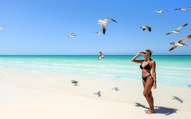 Tour in Holbox with Transportation and Lunch photo 3