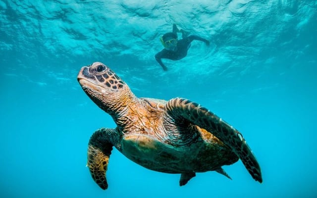Huatulco Ocean Eco Adventures