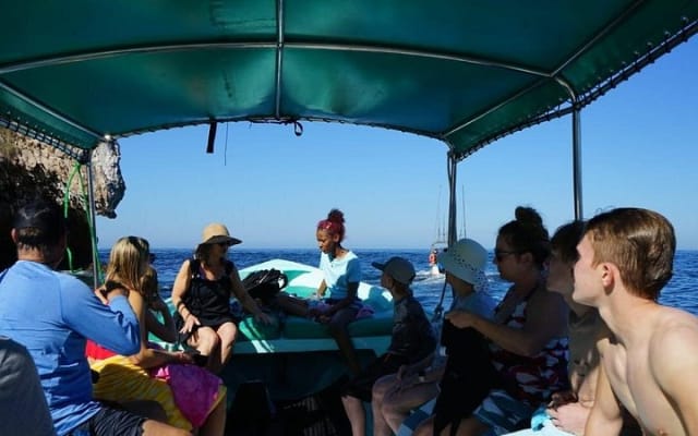 Whale watching with Snorkeling and beach Colomitos photo 11