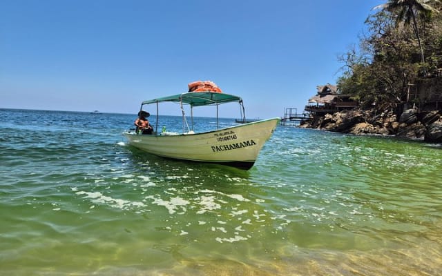 Whale watching with Snorkeling and beach Colomitos photo 3