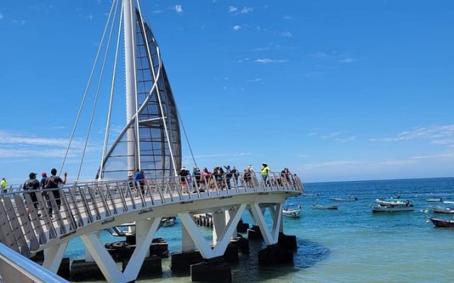 Whale watching with Snorkeling and beach Colomitos photo 8