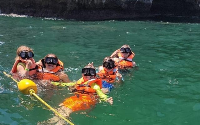 Whale watching with Snorkeling and beach Colomitos photo 10