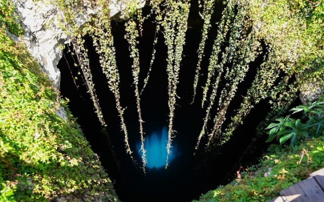 Full day tour to Ek Balam Ruins, Valladolid and Sacred Cenote photo 8
