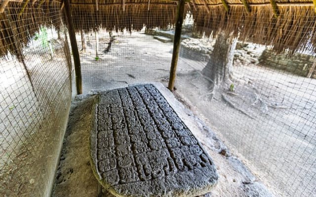Tulum Coba Ruins and Cenote Full Day Small Group Tour with Lunch photo 12