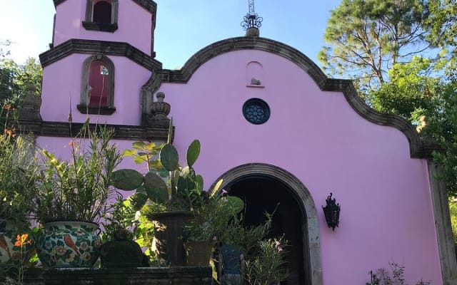 Visite d’une journée du Jardin botanique de Puerto Vallarta photo 5