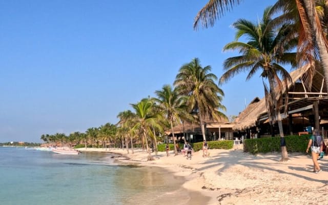 Tour to Tulum and Cenote Swimming with Turtles from Tulum photo 14