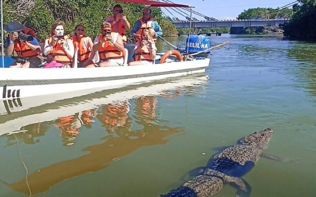 From Cancun: Rio Lagartos, Coloradas and Mayan Bath photo 9