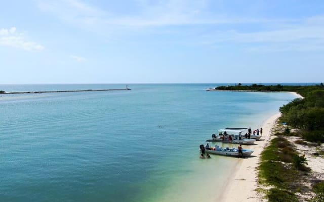 From Cancun: Rio Lagartos, Coloradas and Mayan Bath photo 11