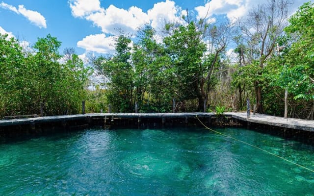The best of Holbox from Tulum photo 9