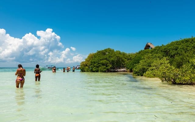 The best of Holbox from Tulum photo 5
