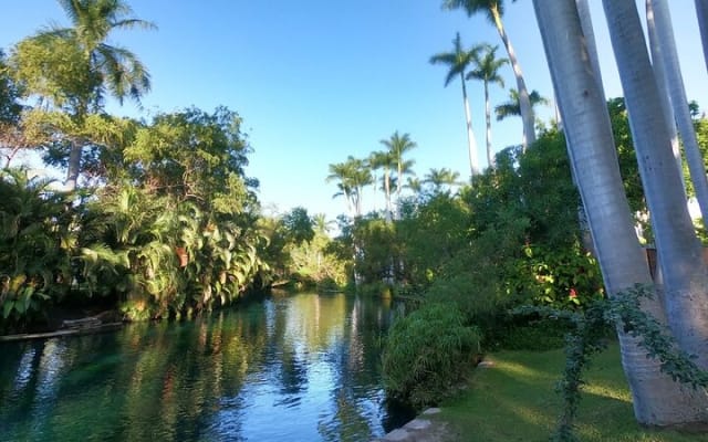 Las Estacas River, Tepoztlan & Adventure Tour from Mexico City photo 3