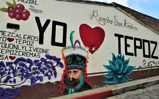 Explore Mexican Gardens and Tepoztlan Town from Mexico City photo 2