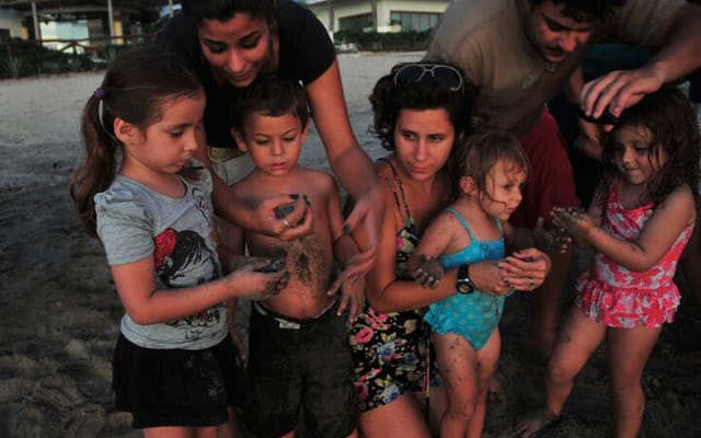 Camp des tortues à Puerto Vallarta : lâcher de bébés tortues et pontes de femelles photo 7
