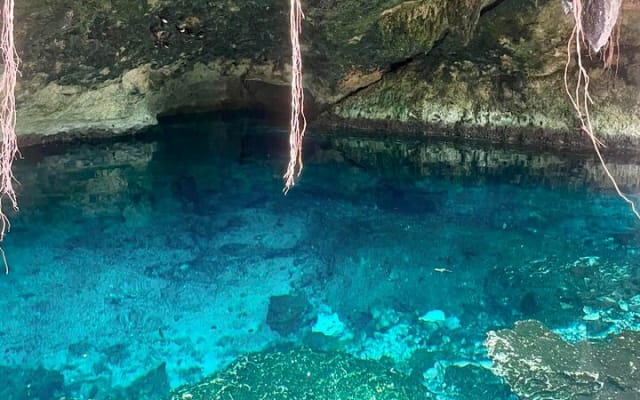 ATV cenote tour Tulum – Mayan Jungle ATV & Cavern Experience photo 8