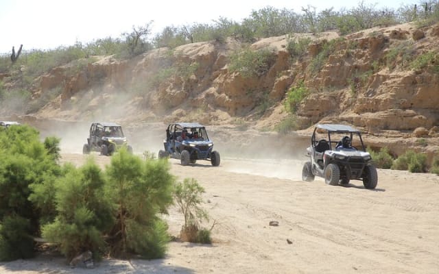 Cabo 2-Seater Off-Road UTV and Camel Ride with Lunch and Tequila