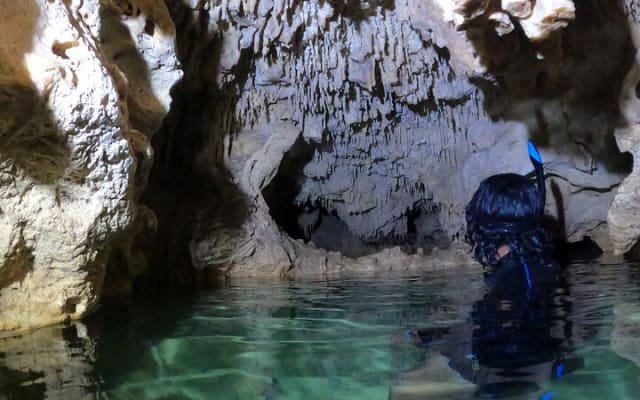 Cenotes Casa Tortuga Guide Tour with Ticket photo 11