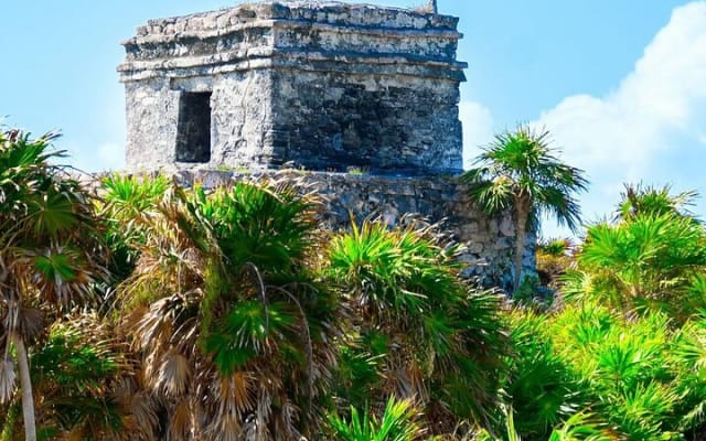 Private Tour to Tulum, Cenote and Swimming with Turtles photo 6