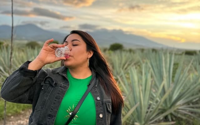 Oaxaca Conmigo, tours privados photo 7