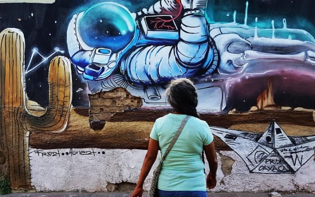 Tour de arte urbano con un artista en Oaxaca photo 11