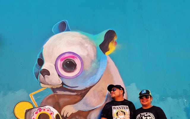 Tour de arte urbano con un artista en Oaxaca photo 3