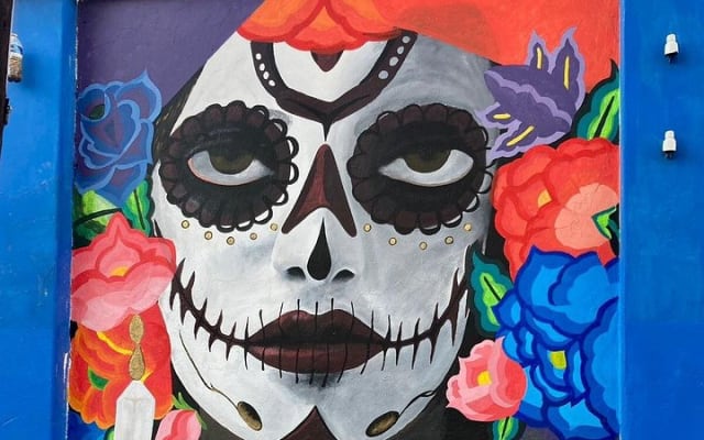 Tour de arte urbano con un artista en Oaxaca photo 9