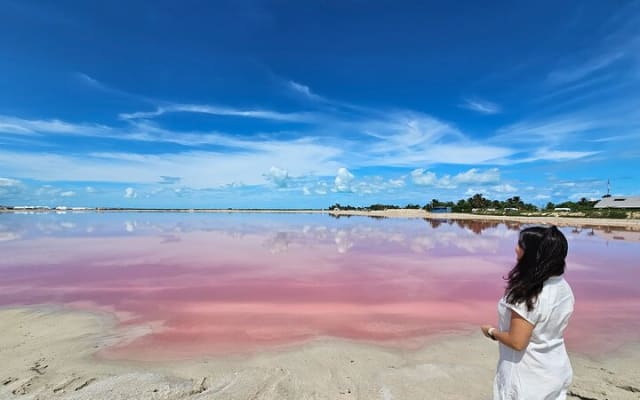 Tour safari por Las Coloradas y Río Lagartos photo 6