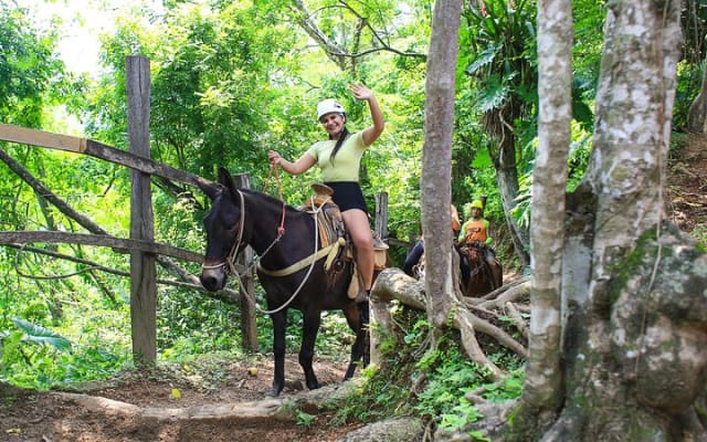 Aventure tyrolienne et pont suspendu à Puerto Vallarta photo 9