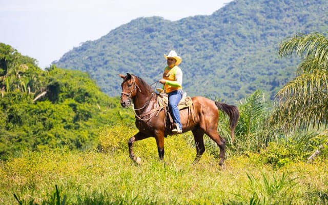 Horseback Riding Experience in Puerto Vallarta photo 8