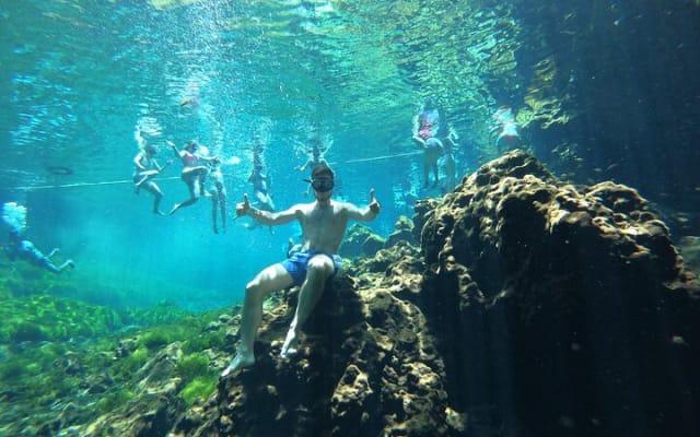 Private Tour Swim with Turtles, 2 Cenotes & Gopro photo 8