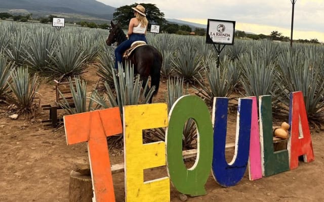 Aventura de un día al Pueblo Mágico de Tequila desde Puerto Vallarta photo 9