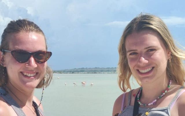 Birdwatching around Merida and coastline