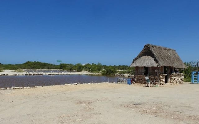 Birdwatching around Merida and coastline photo 4